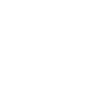 artion logo