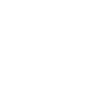 skindr logo